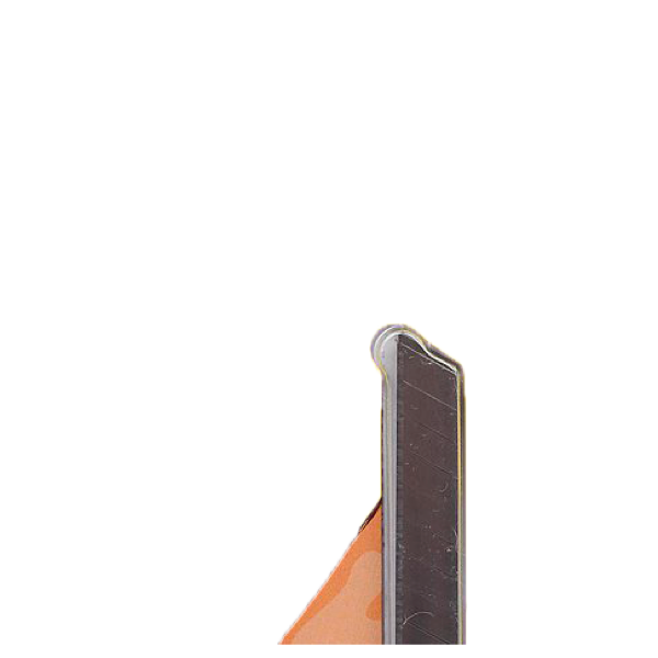 DETAIL_PICTURE