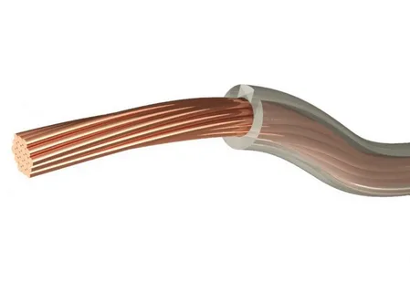 DETAIL_PICTURE