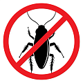 Средства от тараканов Средства от тараканов в Сургуте